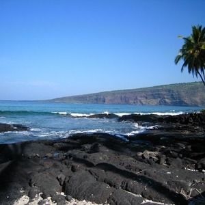 Meet your Posher, Cat